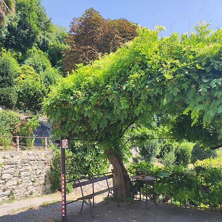 Villa Antonella, App. Vittoria Tavernerio Экстерьер фото