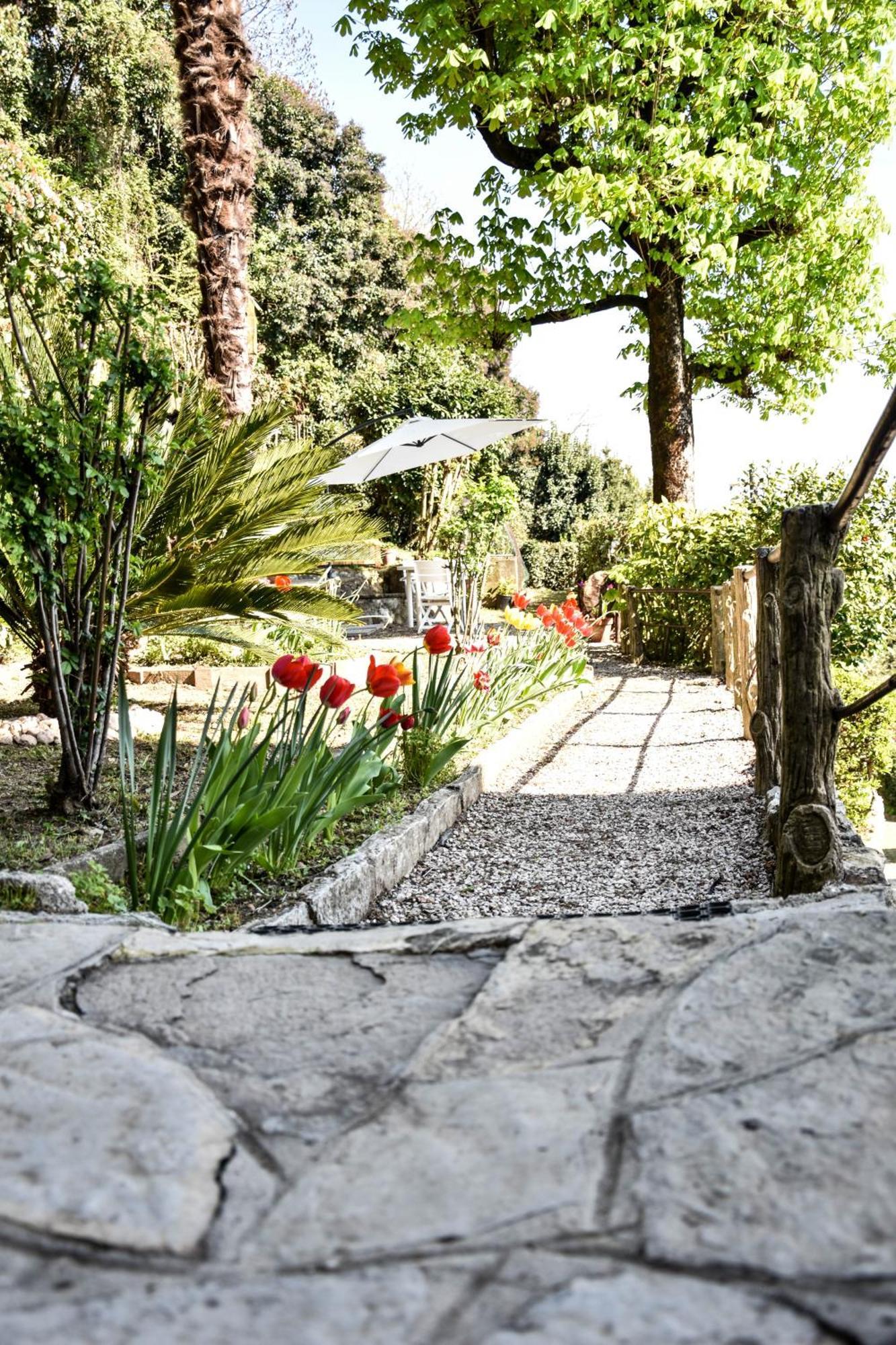 Villa Antonella, App. Vittoria Tavernerio Экстерьер фото
