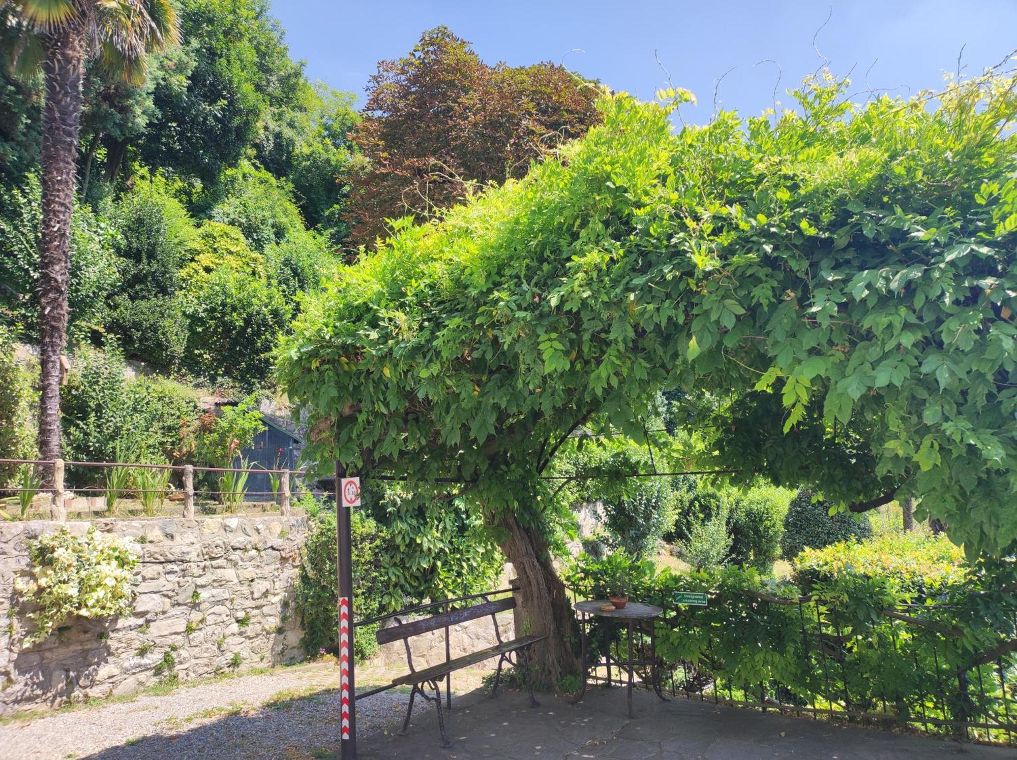 Villa Antonella, App. Vittoria Tavernerio Экстерьер фото